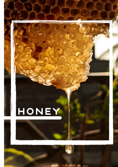 greek honeys
